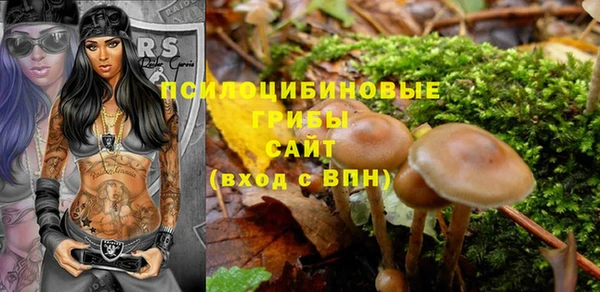прущие грибы Горно-Алтайск