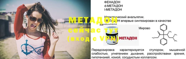прущие грибы Горно-Алтайск