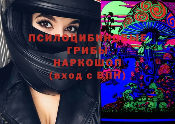 МДПВ Горняк