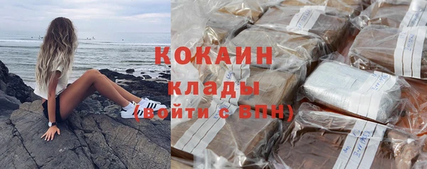 прущие грибы Горно-Алтайск
