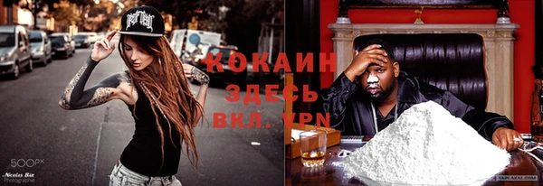 прущие грибы Горно-Алтайск