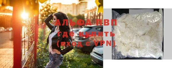 прущие грибы Горно-Алтайск